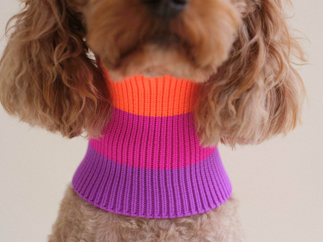 Hundeschal in Neon Pink & Orange – Glow Loop 2.0 für kleine bis große Hunderassen