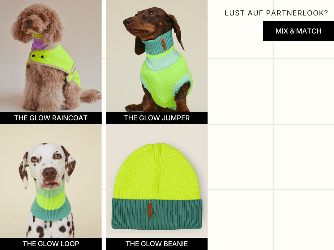 Partnerlook für Hund und Mensch in neongelb bei lumiies®