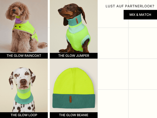 Partnerlook für Hund und Mensch in neongelb bei lumiies®