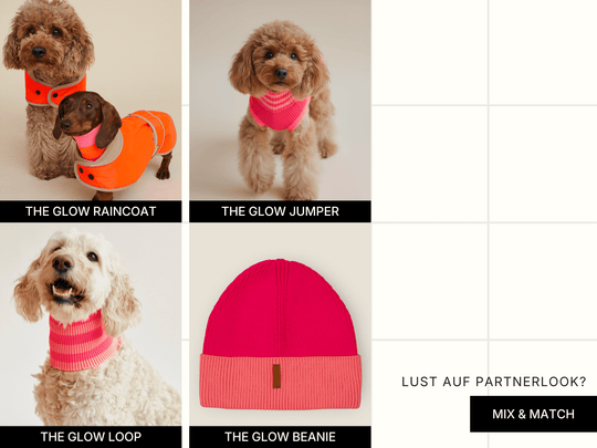 Wärmender Neon Pink Hundepullover für Dackel & kleine Hunde – perfekter Sitz, Bauchschutz, Winter & Übergang