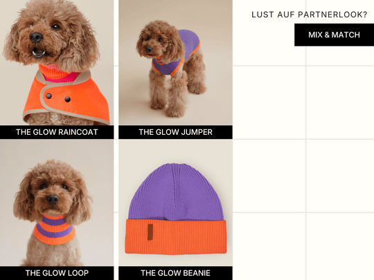 Hochelastischer Hundepullover in Neonfarben – schützt Bauch & Brust, perfekt für aktive Hunde