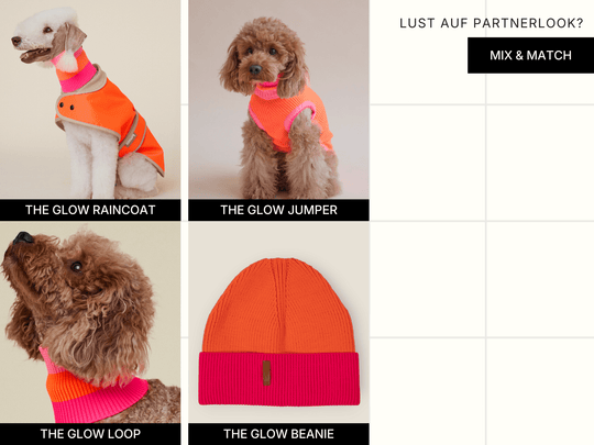 Neon Orange ist die Trendfarbe 2026 – für selbstbewusste Hunde und ihre Dog Moms. Kuschelig warm, hoch sichtbar und perfekt für den modernen Partnerlook.