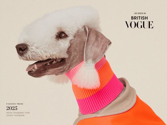 Glow Loop 2.0 Neon Orange – kuscheliger Hundeschal mit perfektem Sitz für viele Hunderassen