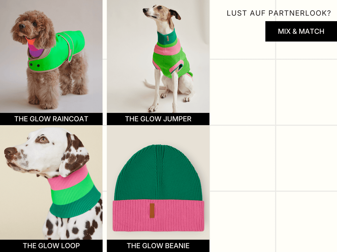 Neon Hundepullover in Neongrün & Neonrosa – perfekte Passform für Windhunde, Galgo & Königspudel