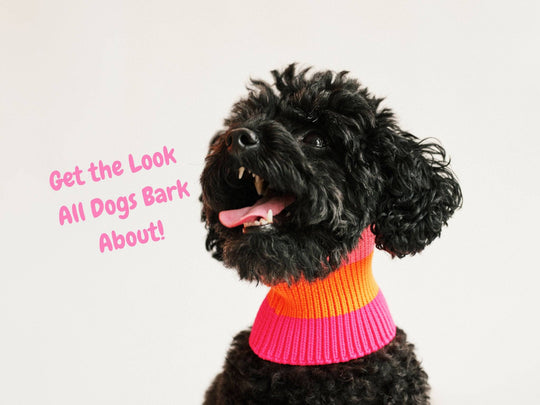 Neon Hundeschal in neonpink und neonorange – weich, wärmend & elastisch. Nachhaltig gestrickt für Dackel, Pudel, Chihuahua & Windhunde.