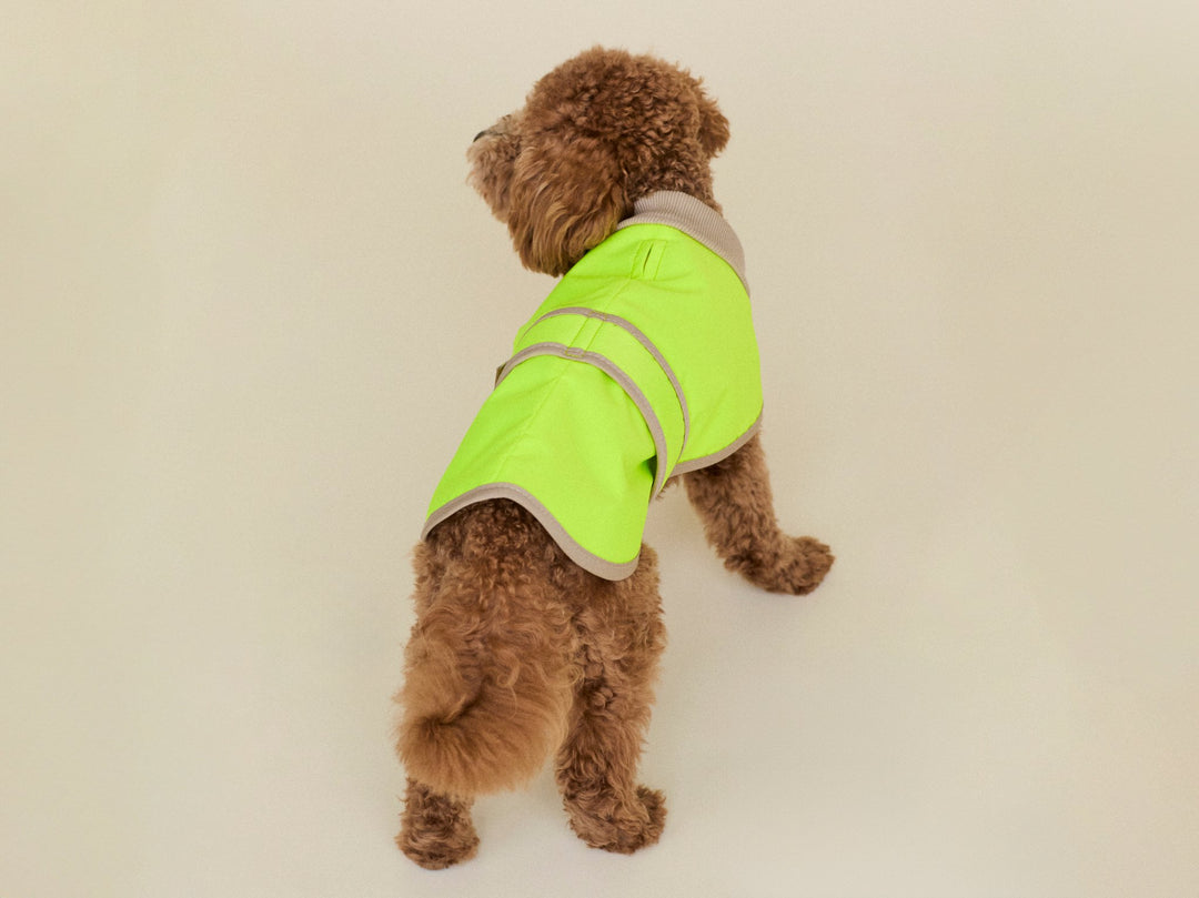 THE GLOW RAINCOAT Dackel & Pudel - Fit (limited edition) - lumiies - high visibility