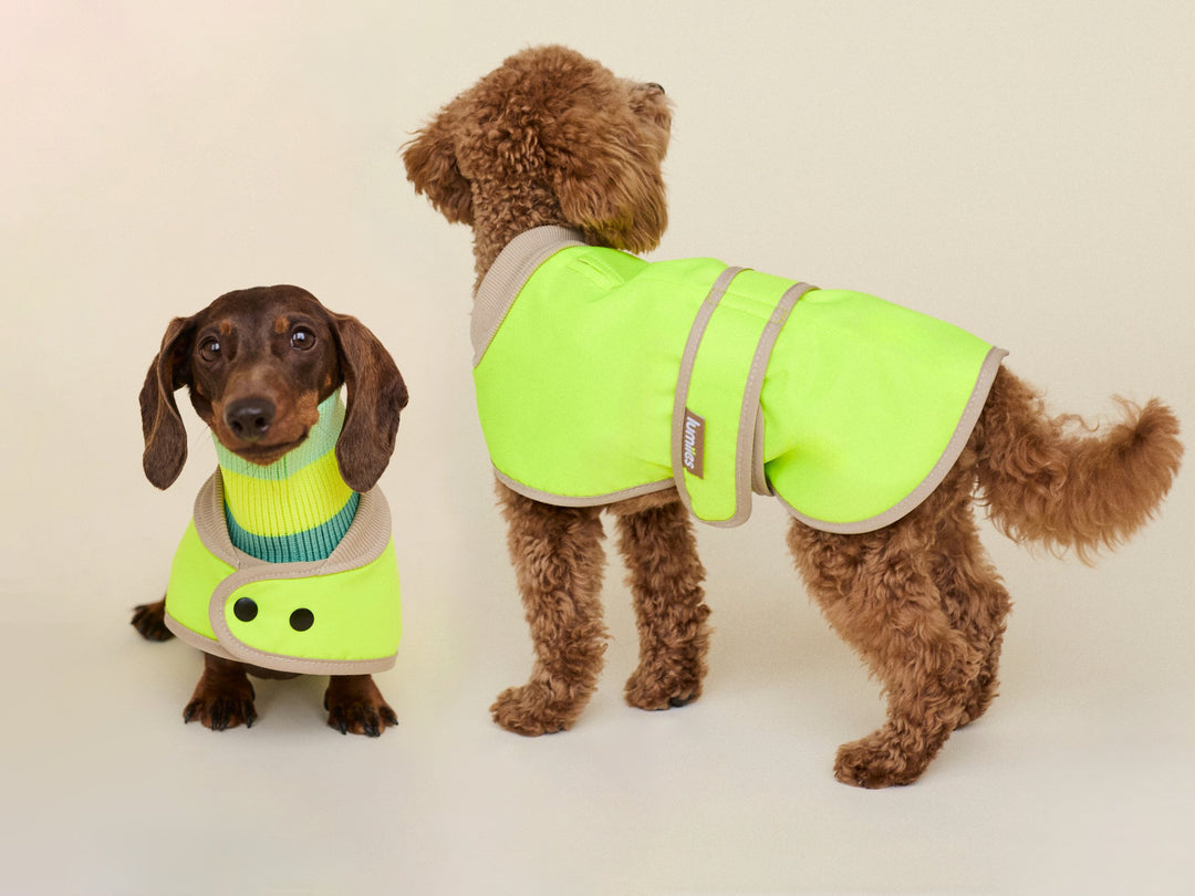 THE GLOW RAINCOAT Dackel & Pudel - Fit (limited edition) - lumiies - high visibility