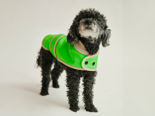 THE GLOW RAINCOAT (Hunderegenmantel) Dackel & Pudel - Fit - lumiies - high visibility