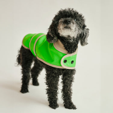 THE GLOW RAINCOAT (Hunderegenmantel) Dackel & Pudel - Fit - lumiies - high visibility