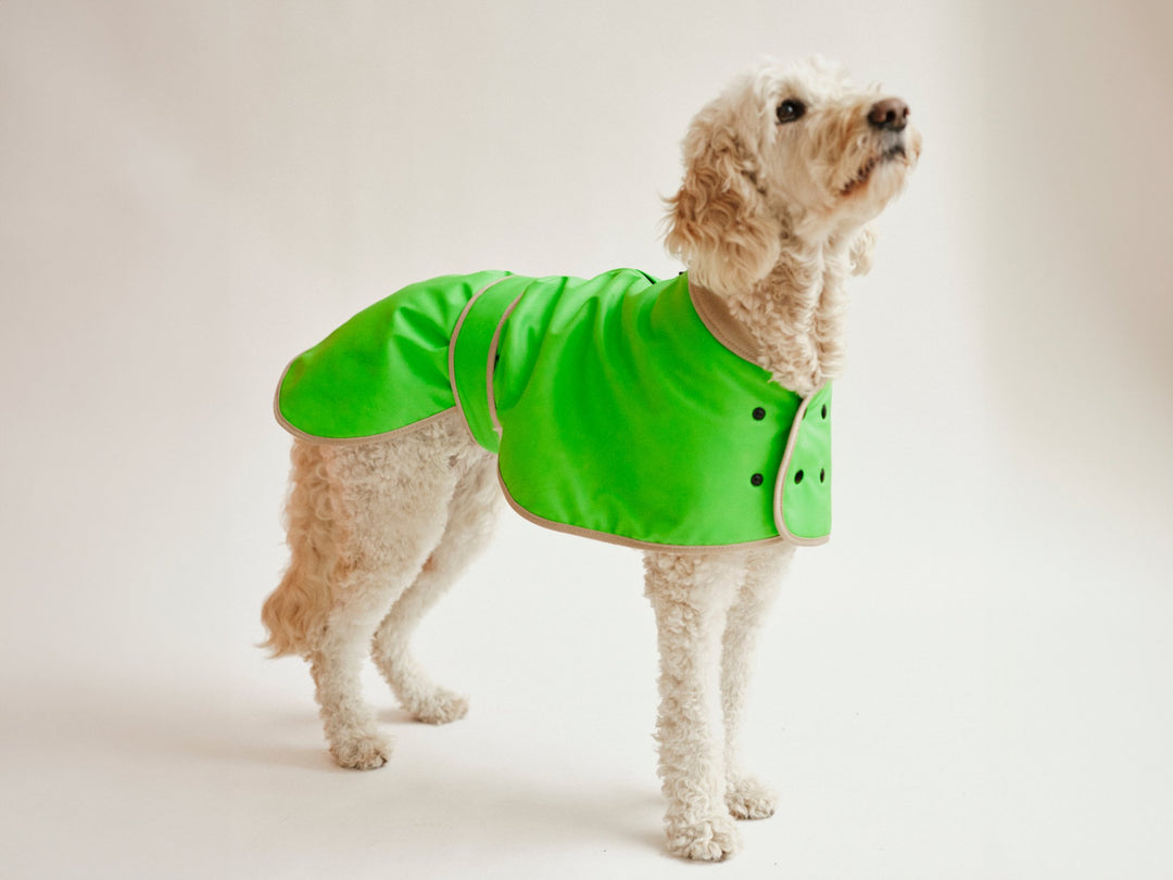 THE GLOW RAINCOAT (Hunderegenmantel) Regular - Fit - lumiies - high visibility