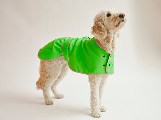 THE GLOW RAINCOAT (Hunderegenmantel) Regular - Fit - lumiies - high visibility