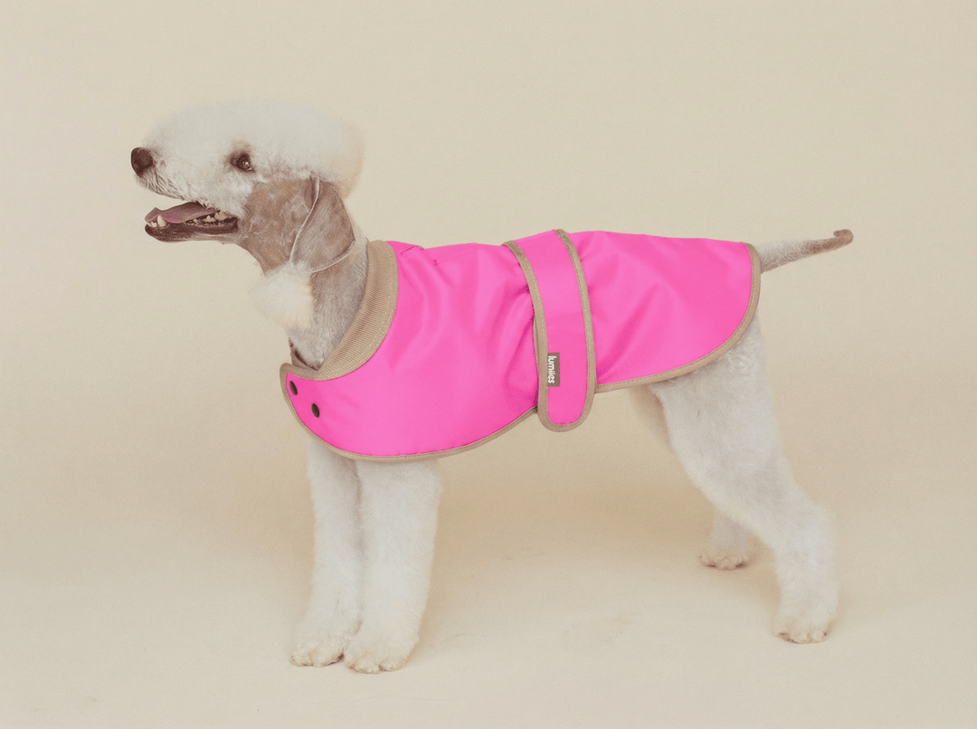 THE GLOW RAINCOAT mini - fit – Hundemantel für kleine Hunderassen und Dackel in Neonpink - lumiies - high visibility