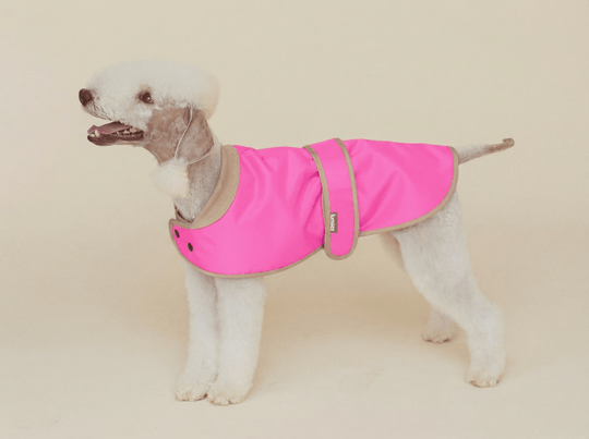 THE GLOW RAINCOAT mini - fit – Hundemantel für kleine Hunderassen und Dackel in Neonpink - lumiies - high visibility