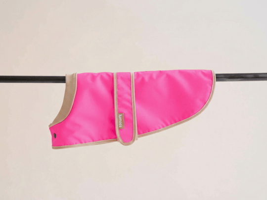 THE GLOW RAINCOAT mini - fit – Hundemantel für kleine Hunderassen und Dackel in Neonpink - lumiies - high visibility