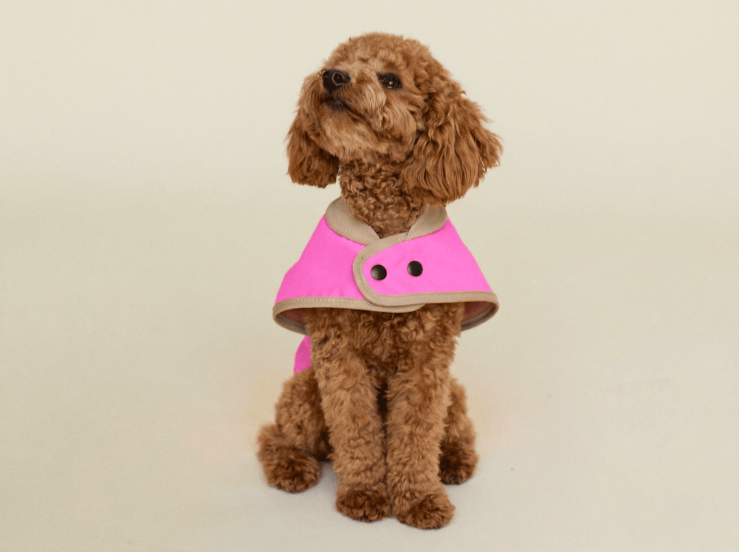 THE GLOW RAINCOAT mini - fit – Hundemantel für kleine Hunderassen und Dackel in Neonpink - lumiies - high visibility