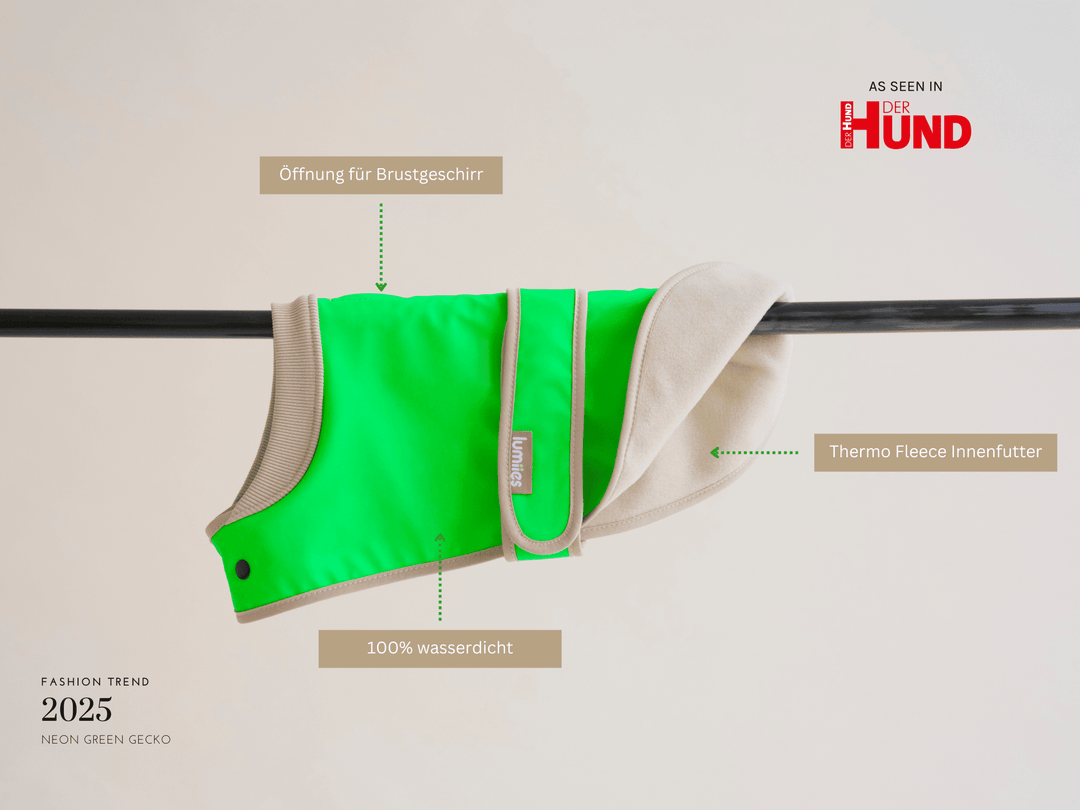 Neon grüner Hunderegenmantel mini-fit für Dackel und kleine Hunde