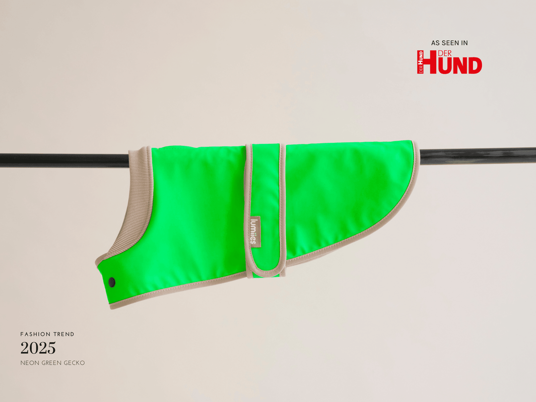 Wasserdichter Hundemantel mini-fit mit Dackel-Passform in Neon Grün