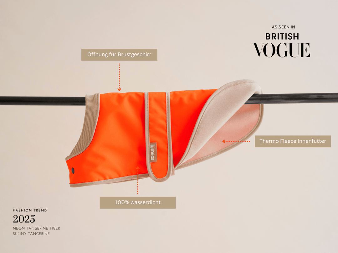 Neonoranger Hunderegenmantel mini-fit für Dackel und kleine Hunde