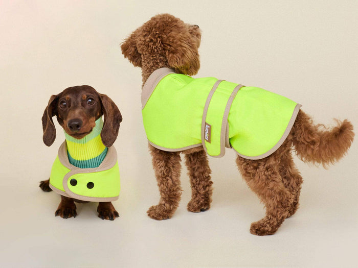 Glow Raincoat Mini Fit Neongelb – wasserdichter Hundemantel für Dackel, Welpen und kleine Hunderassen
