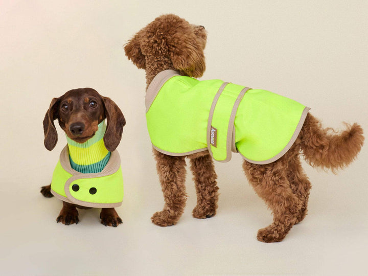 Glow Raincoat Mini Fit Neongelb – wasserdichter Hundemantel für Dackel, Welpen und kleine Hunderassen