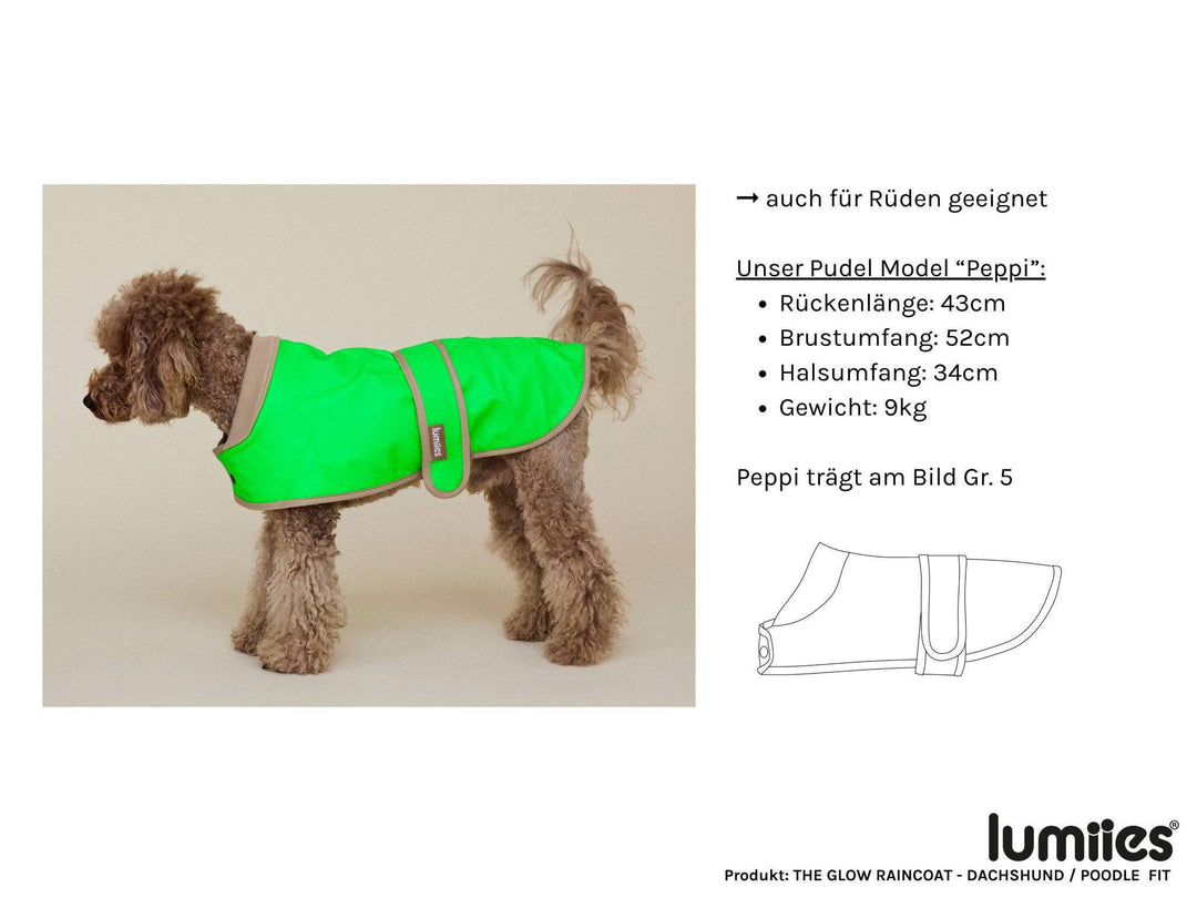Glow Raincoat mini-fit Hundemantel für Dackel und Pudel mit Produktdetails in neongelb