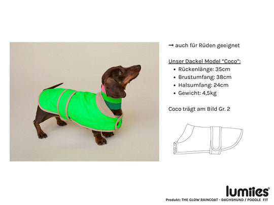 Glow Raincoat mini-fit Hundemantel für Dackel mit Produktdetails in neongelb