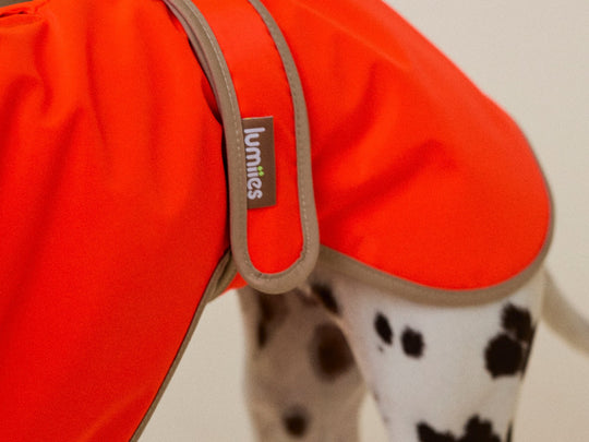 THE GLOW RAINCOAT Regular - Fit (limited edition) - lumiies - high visibility