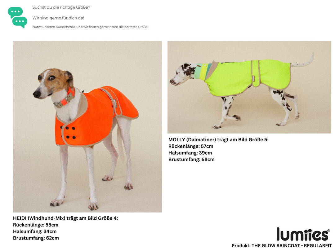 THE GLOW RAINCOAT Regular - Fit (limited edition) - lumiies - high visibility