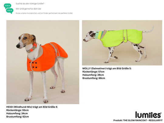 THE GLOW RAINCOAT Regular - Fit (limited edition) - lumiies - high visibility