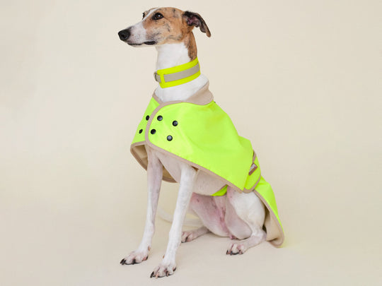 THE GLOW RAINCOAT Regular - Fit (limited edition) - lumiies - high visibility