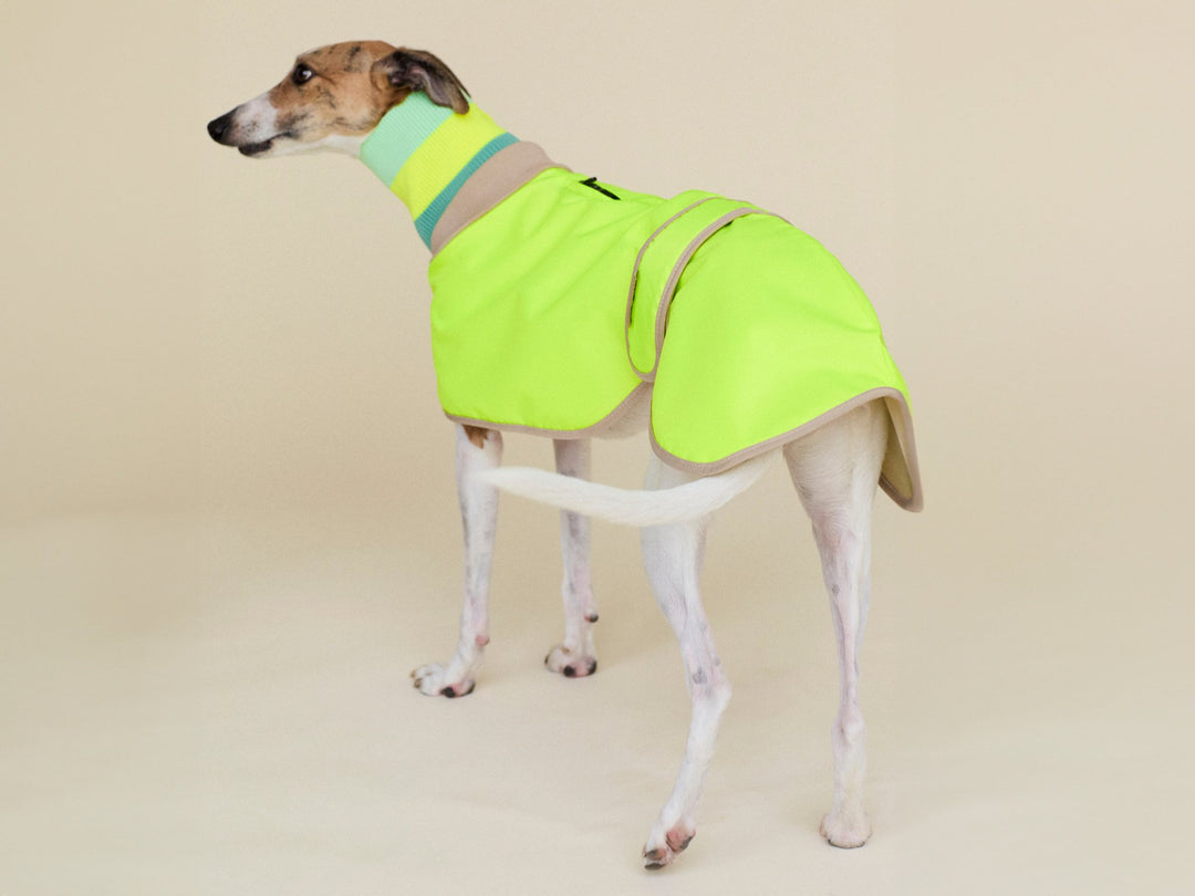 THE GLOW RAINCOAT Regular - Fit (limited edition) - lumiies - high visibility