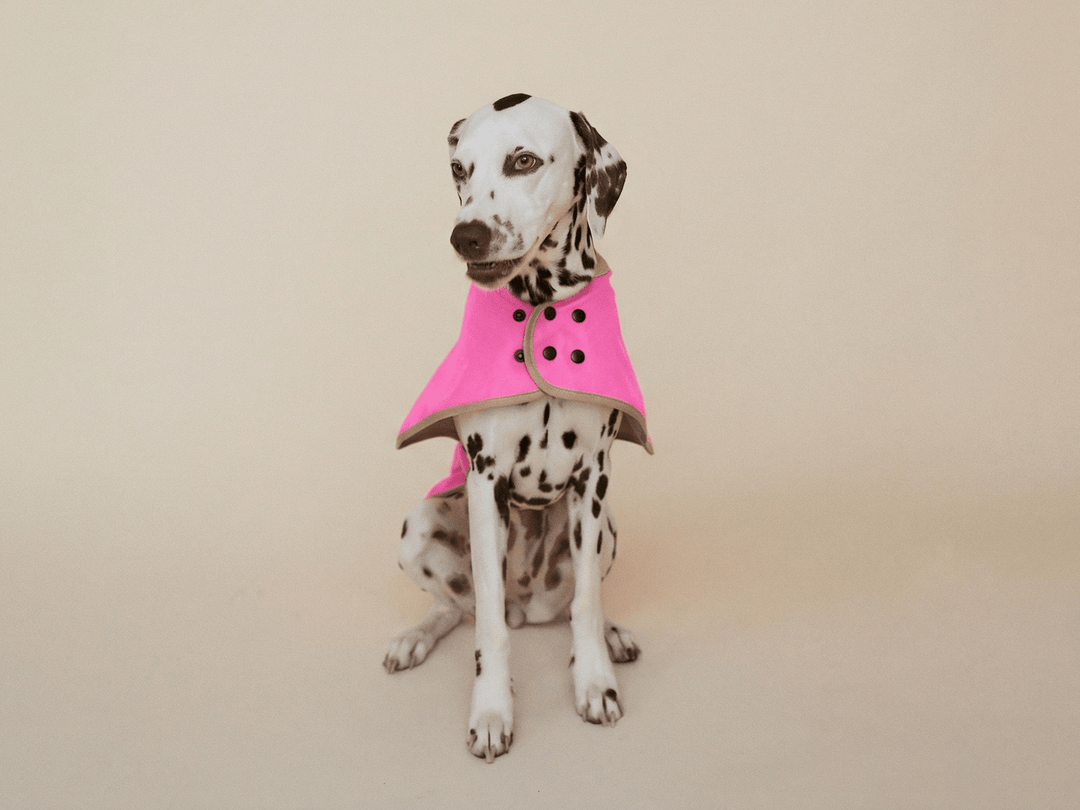 THE GLOW RAINCOAT regular - fit – Wasserdichter Hundemantel in Neonpink - lumiies - high visibility