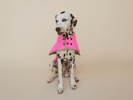THE GLOW RAINCOAT regular - fit – Wasserdichter Hundemantel in Neonpink - lumiies - high visibility