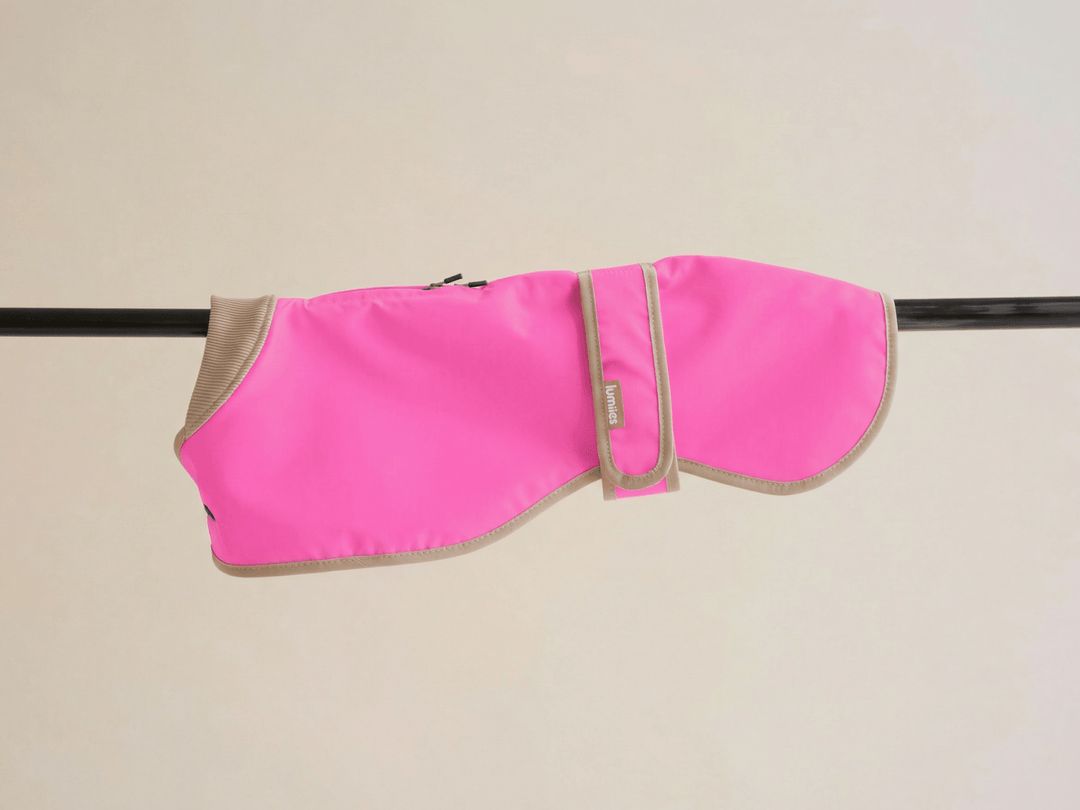 THE GLOW RAINCOAT regular - fit – Wasserdichter Hundemantel in Neonpink - lumiies - high visibility