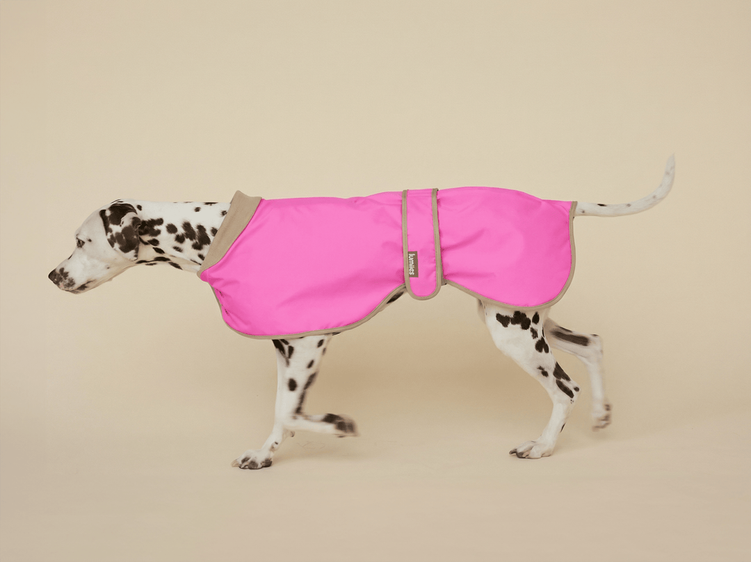 THE GLOW RAINCOAT regular - fit – Wasserdichter Hundemantel in Neonpink - lumiies - high visibility