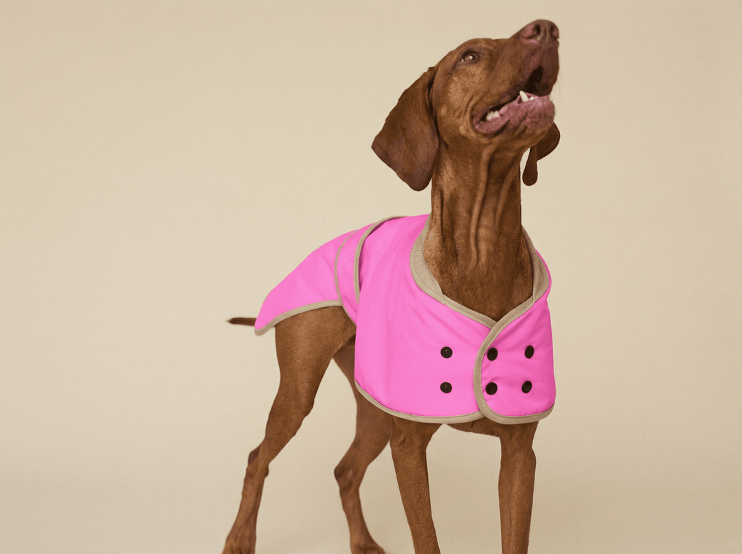 THE GLOW RAINCOAT regular - fit – Wasserdichter Hundemantel in Neonpink - lumiies - high visibility