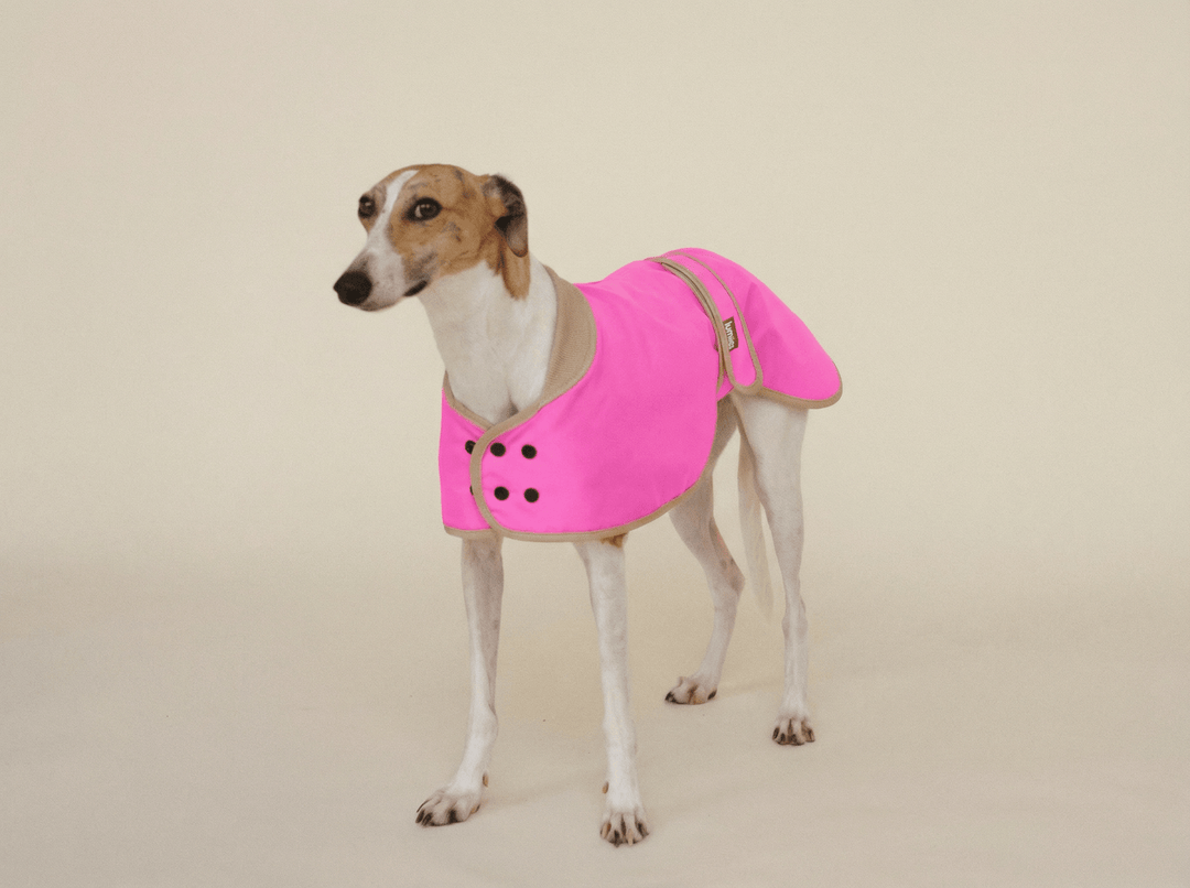 THE GLOW RAINCOAT regular - fit – Wasserdichter Hundemantel in Neonpink - lumiies - high visibility