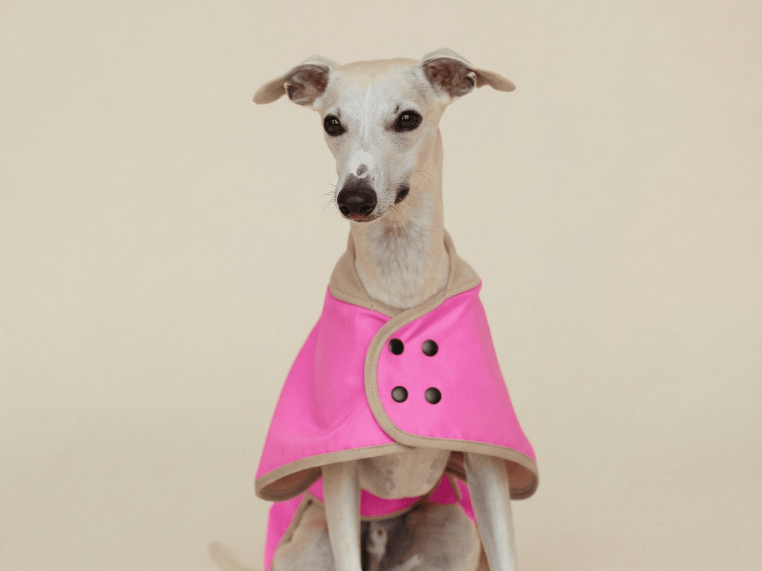 THE GLOW RAINCOAT regular - fit – Wasserdichter Hundemantel in Neonpink - lumiies - high visibility