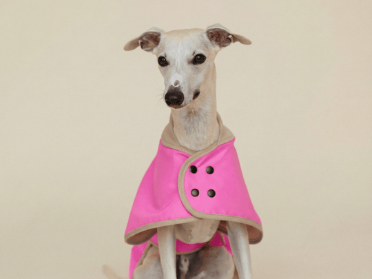 THE GLOW RAINCOAT regular - fit – Wasserdichter Hundemantel in Neonpink - lumiies - high visibility