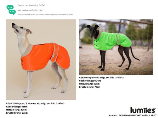 THE GLOW RAINCOAT Regular - Fit - lumiies - high visibility