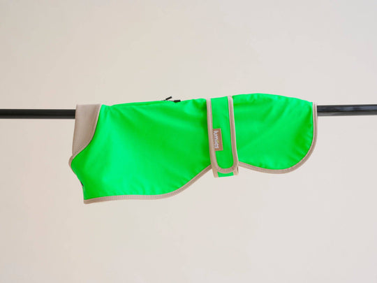 Neon grüner Hundemantel für Galgo & Whippet – Glow Raincoat regular-fit