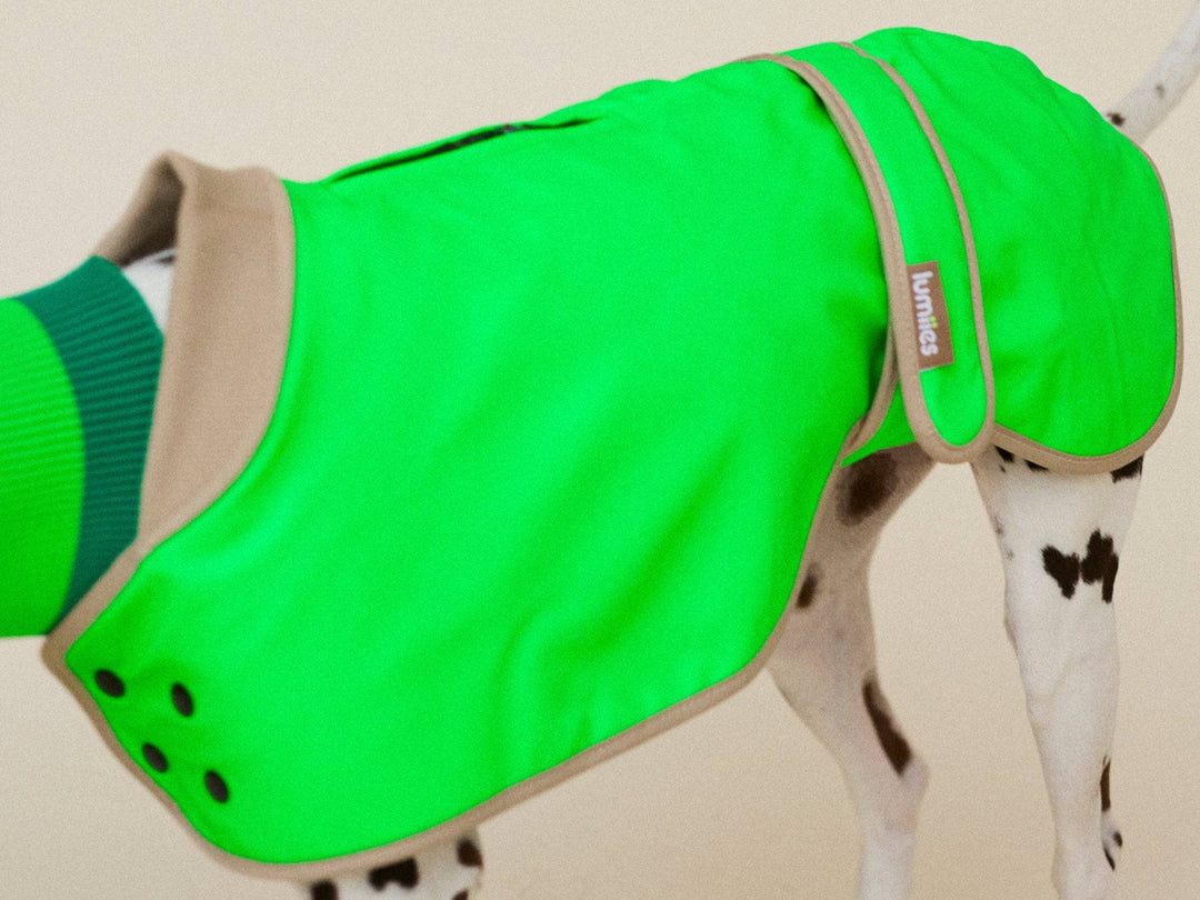 Glow Raincoat regular-fit in Neongrün – Hundemantel für sportliche Hunderassen