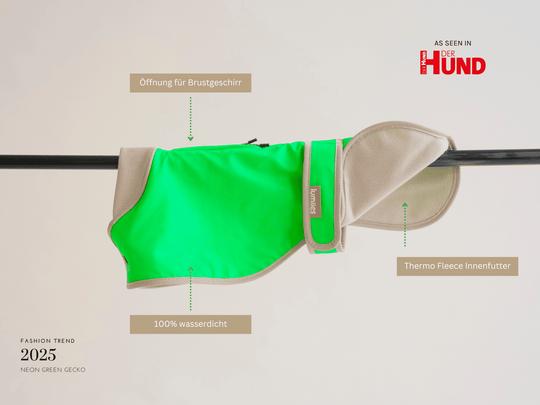 Wasserdichter Hundemantel in Neongrün für Vizsla & Dalmatiner – Glow Raincoat regular-fit