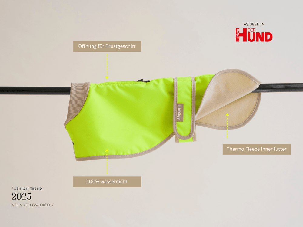 Glow Raincoat regular-fit Neongelb – wasserdichter Hundemantel für Windhunde & Galgo