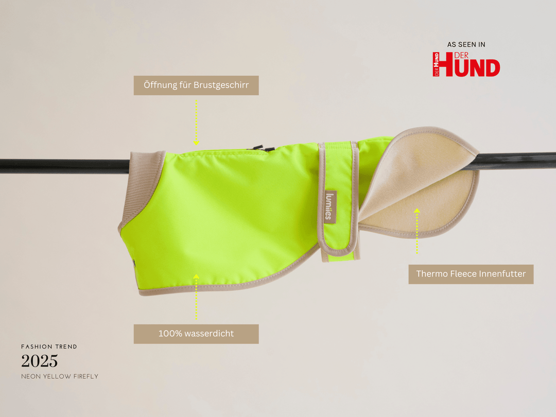 Glow Raincoat regular-fit Neongelb – wasserdichter Hundemantel für Windhunde & Galgo