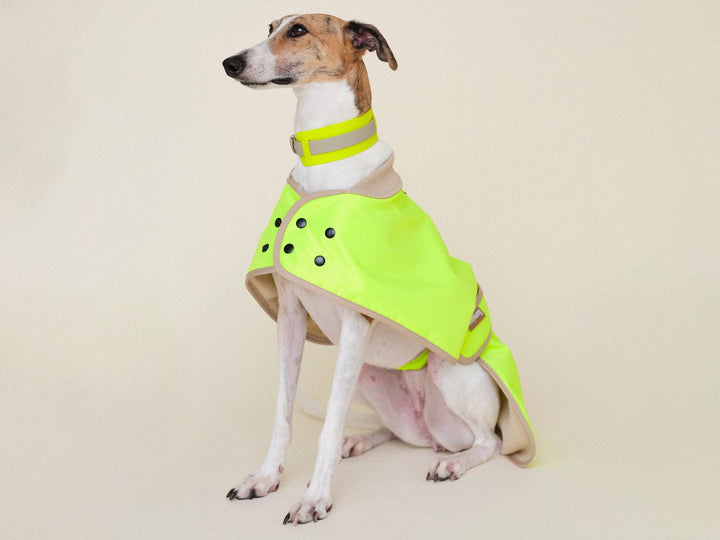 Glow Raincoat Regular Fit Neongelb – wasserdichter Hundemantel für viele Hunderassen, auch Windhunde, Vizsla und Dalmatiner