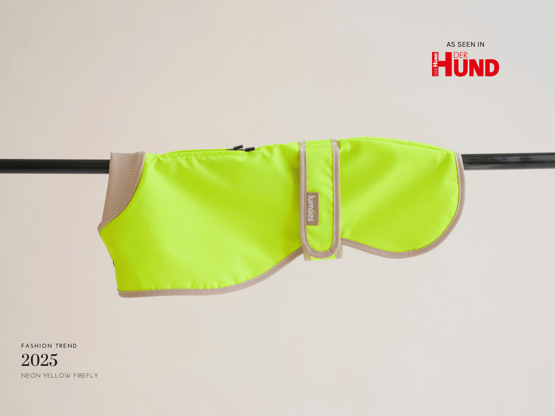 Glow Raincoat regular-fit Neongelb – Hundemantel für Windhunde, Dalmatiner & Galgo