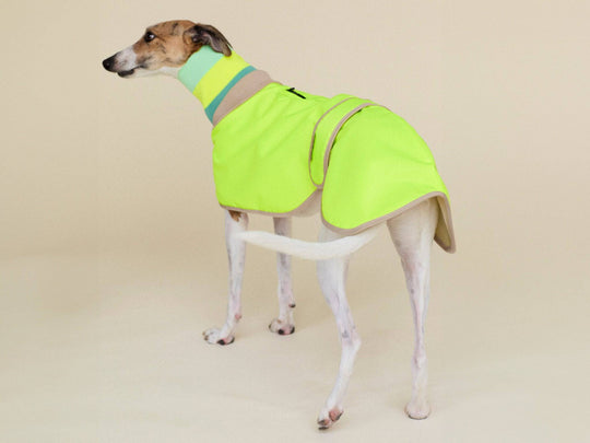 Wasserdichter Neon Hundemantel für sportliche Hunde – regular-fit von lumiies®