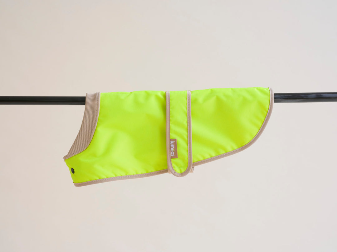 THE GLOW RAINCOAT(Dackel & Pudel Fit) - lumiies - high visibility