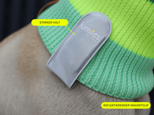 Reflektierender Magnetclip für Hunde – Magnetic Glow Tag mit 3M Scotchlite für maximale Sichtbarkeit bei Nacht